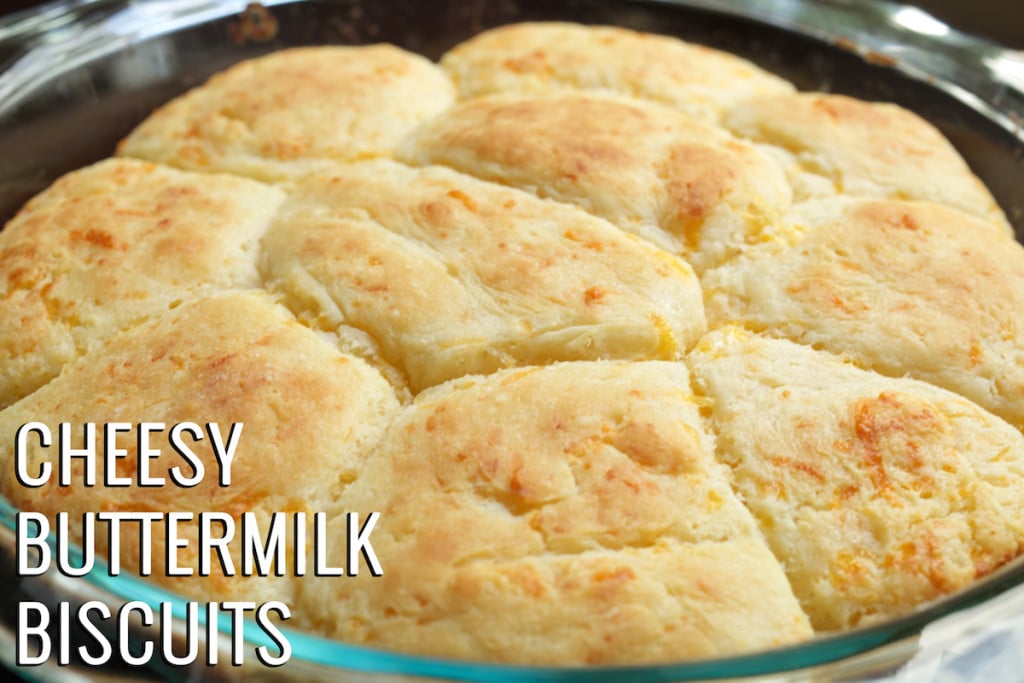Cheesy buttermilk biscuits in a glass pan. Bottom left corner text reads "cheesy buttermilk biscuits"