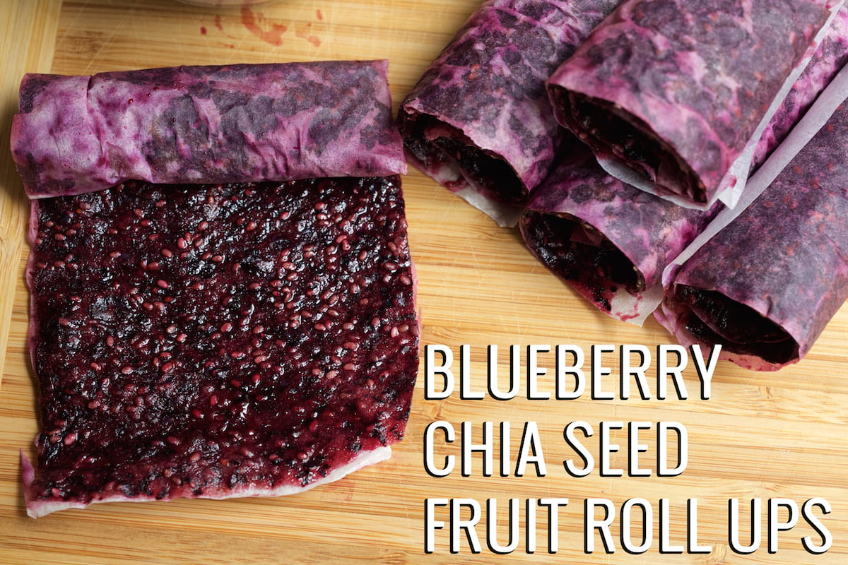 Blueberry Chia Seed Fruit Roll Ups