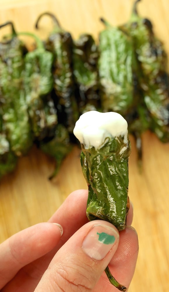 Blistered Shishito Peppers & Whipped Lemon Goat Cheese