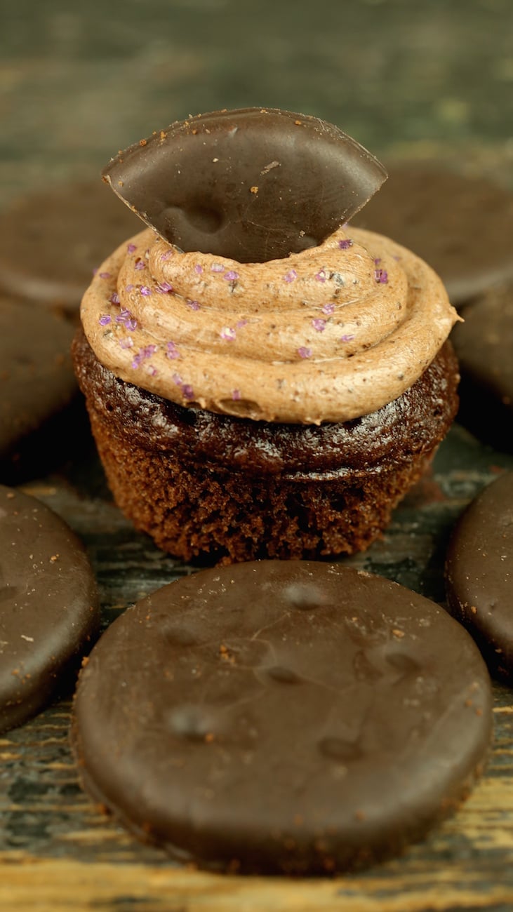 A single mini thin mint cupcake is surrounded by thin mint cookies.