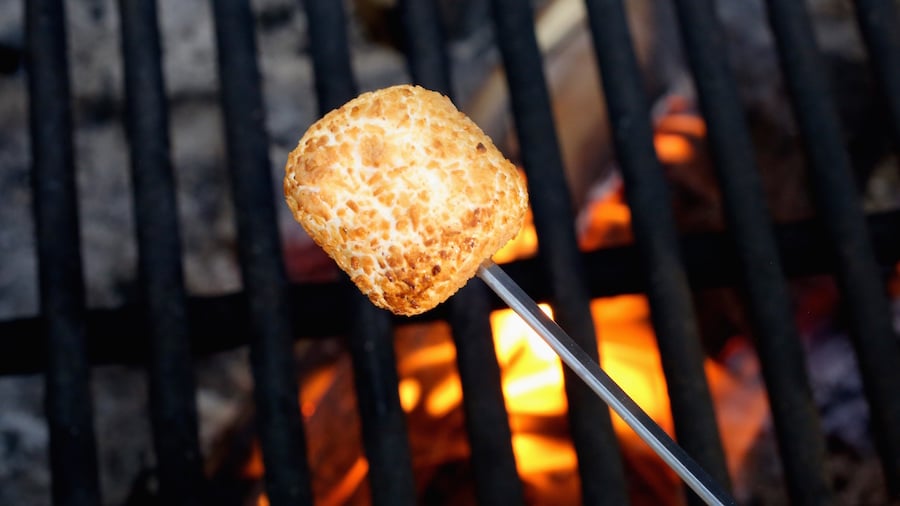 A coconut covered marshmallow being roasted over a campfire.