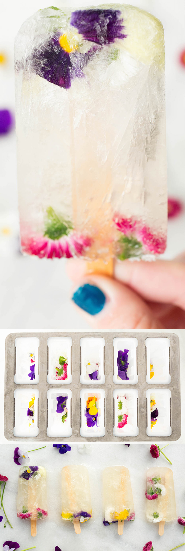 Champagne Popsicle recipe made with St. Germain and Edible Flowers. The perfect summer brunch treat!