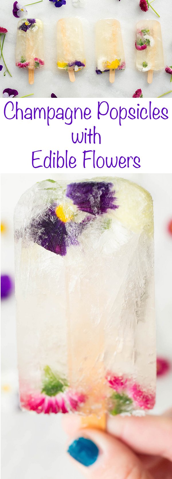 Champagne Popsicle recipe made with St. Germain and Edible Flowers. The perfect summer brunch treat!
