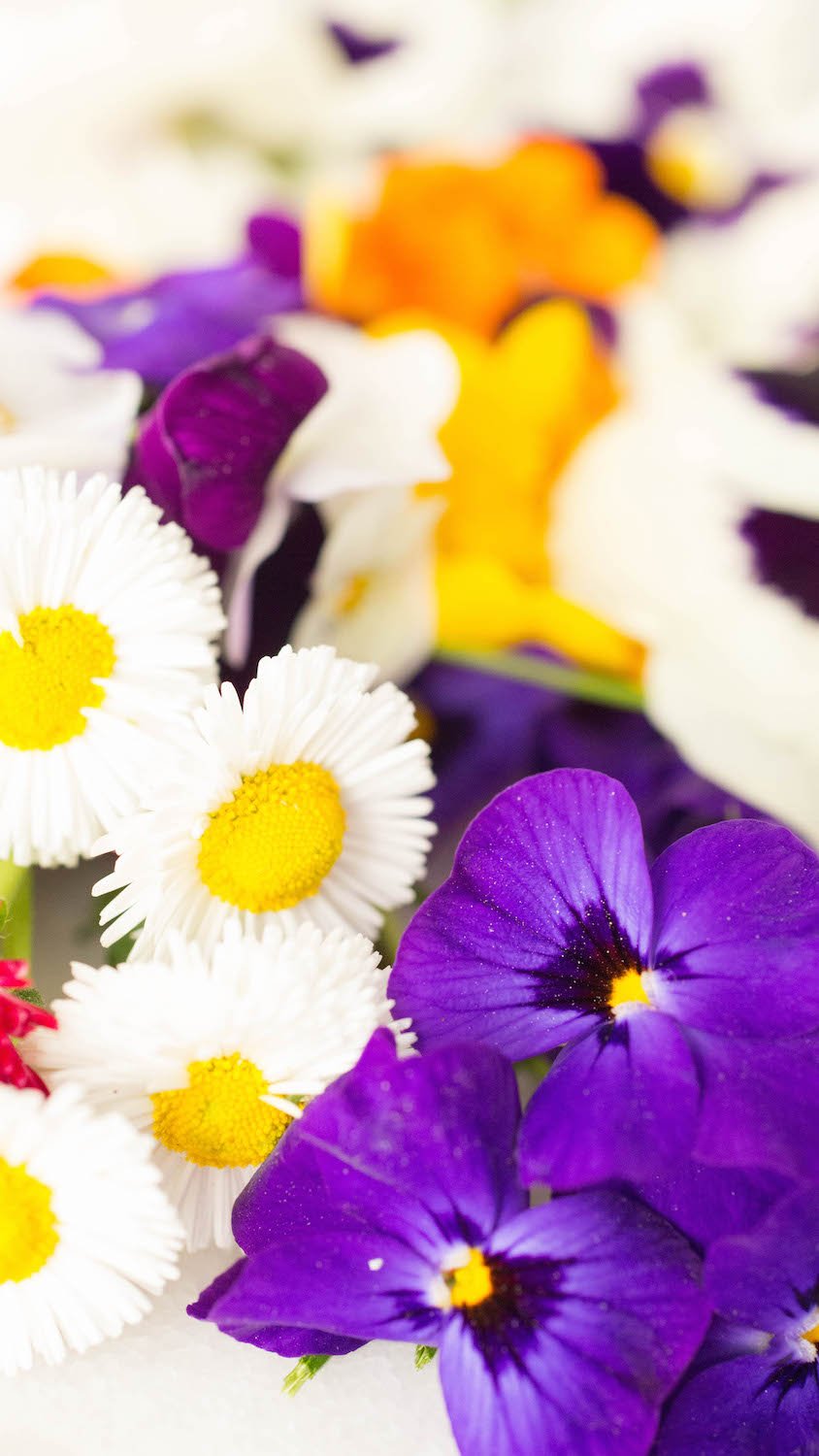 A close up of an assortment of colorful edible flowers