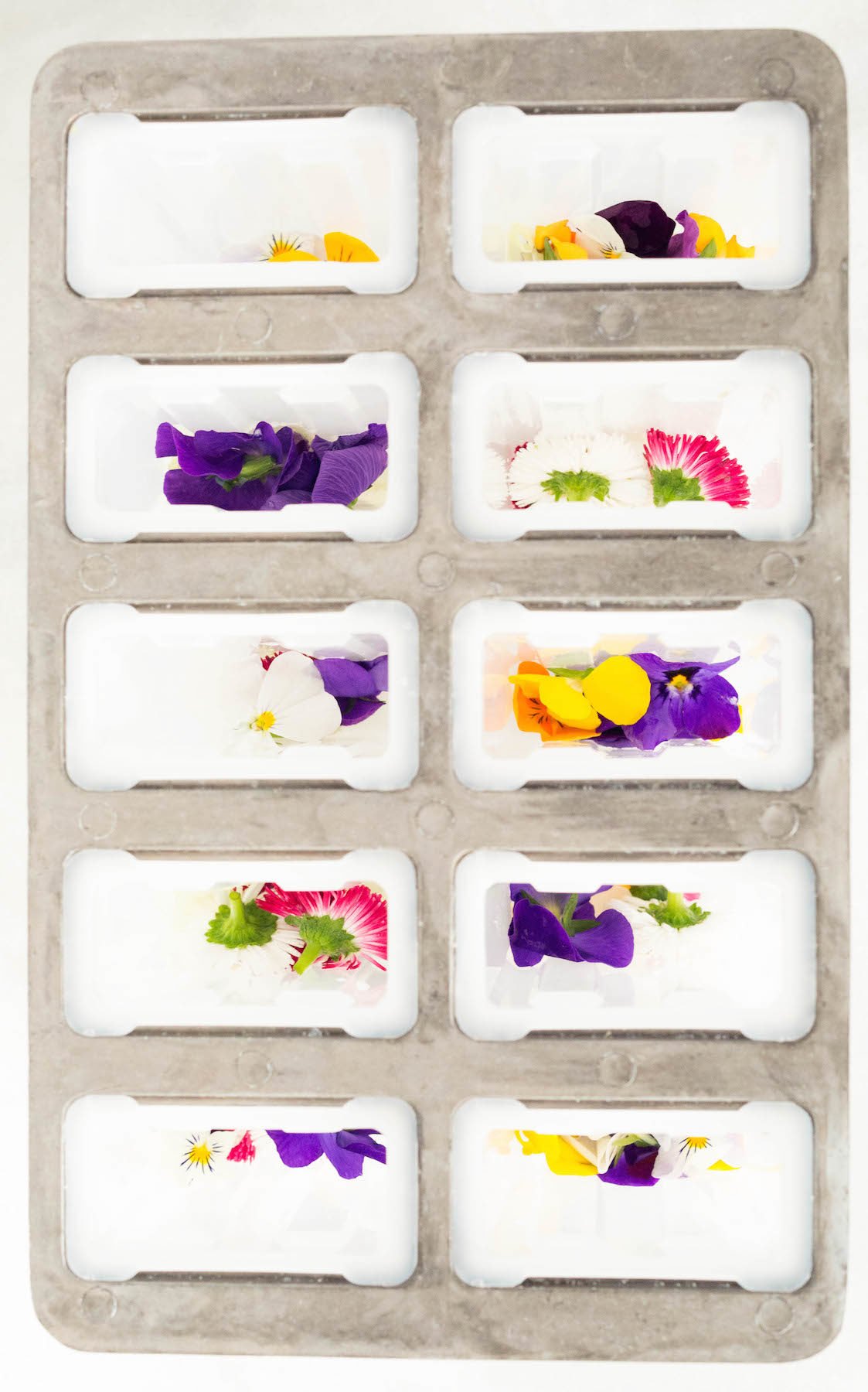 Overhead view of a clear popsicle mold filled with edible flowers at the bottom.