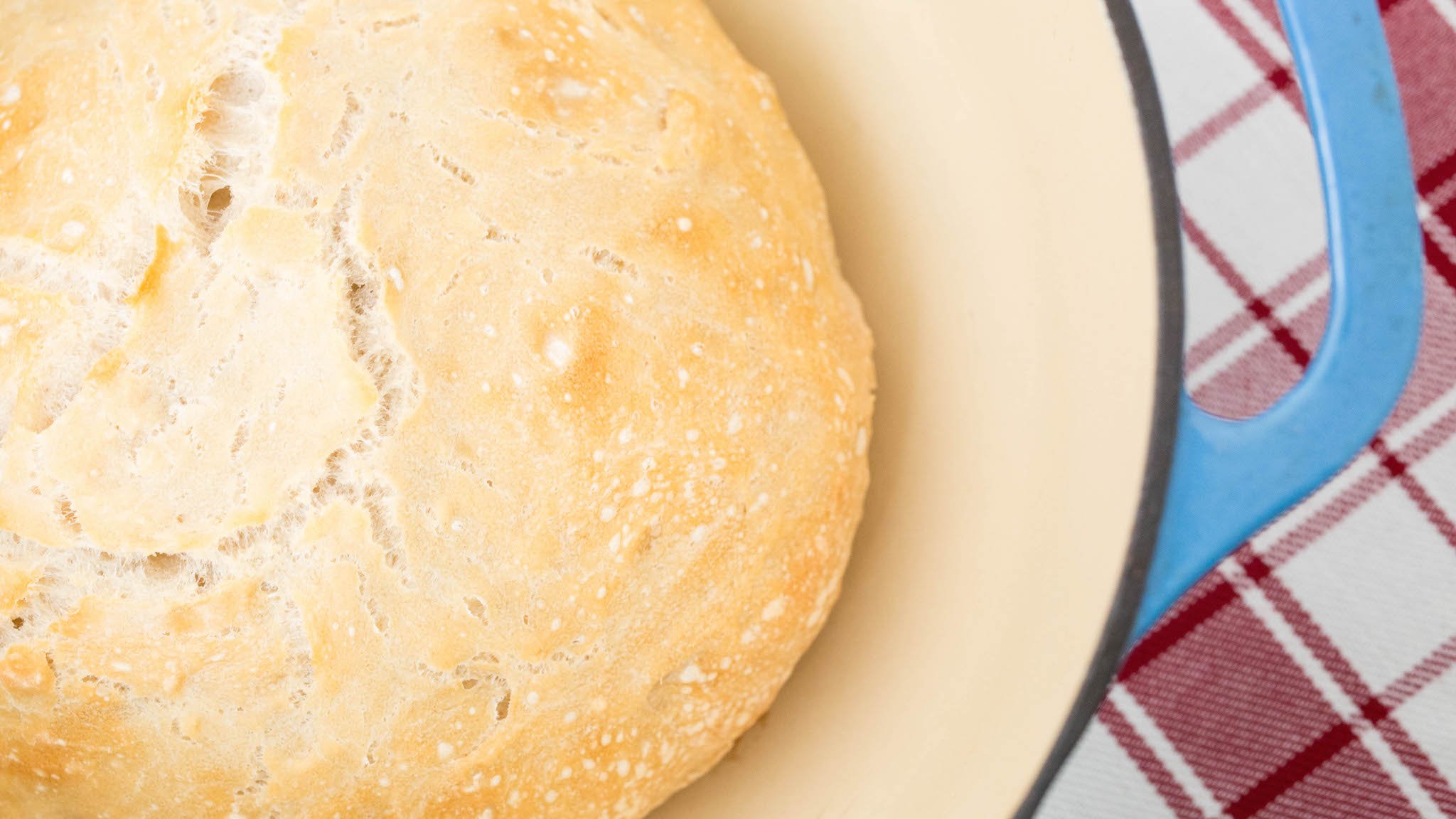 Overhead view of a circular loaf of no-knead bread in a dutch oven. 