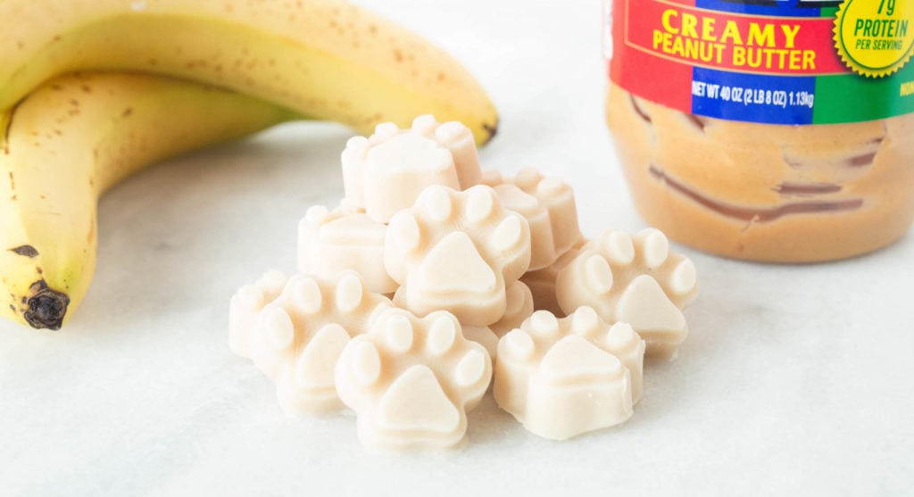 Paw shaped frozen yogurt banana peanut butter dog treats.
