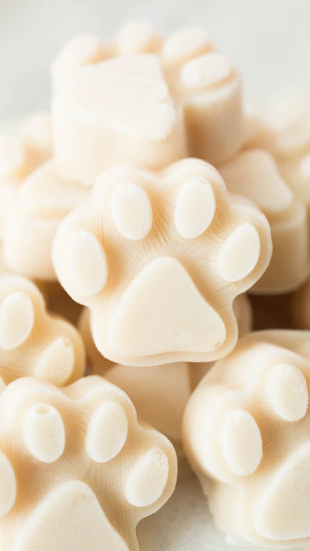Yogurt Peanut Butter Banana Dog Treats Recipe yogurt-peanut-butter-banana-dog-treats-recipe