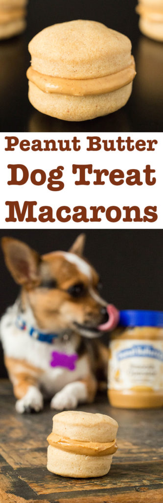 How To Make Peanut Butter Macaron Dog Treats
