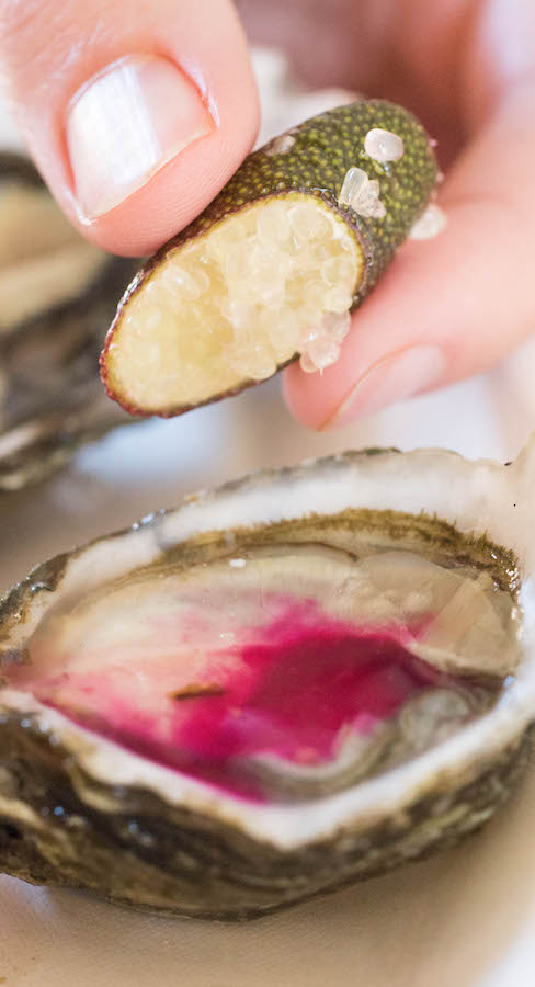Jolly Oyster - Coolest & Best Foods at Smorgasburg