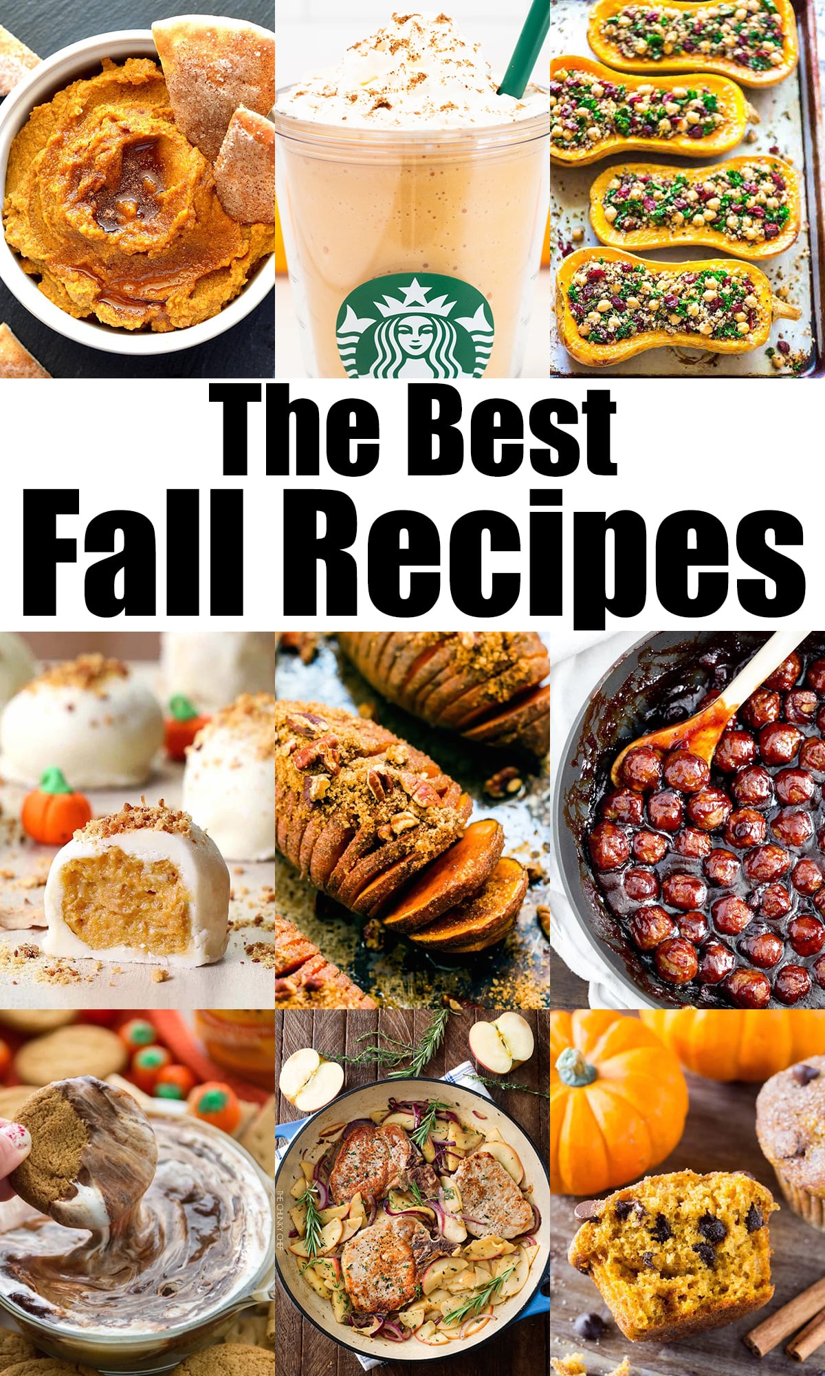 A nine photo collage showing multiple fall recipes from breakfast, dinners, and desserts. Bold text reads "the best fall recipes".