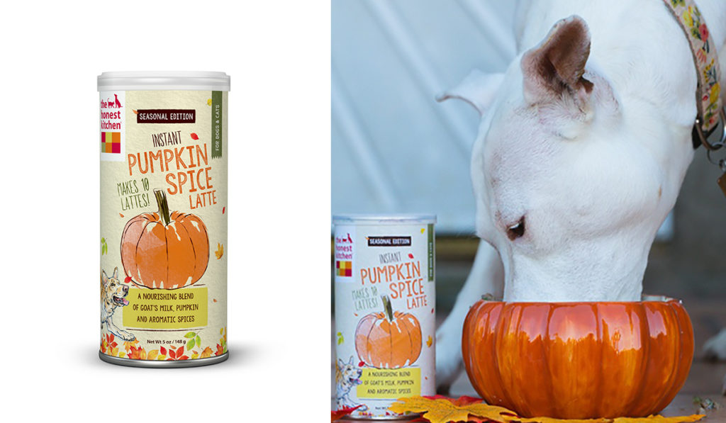 Pumpkin Spice Latte for Dogs & Cats