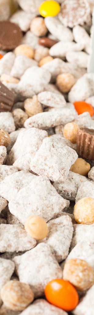 The Best Reese's Puppy Chow Recipe