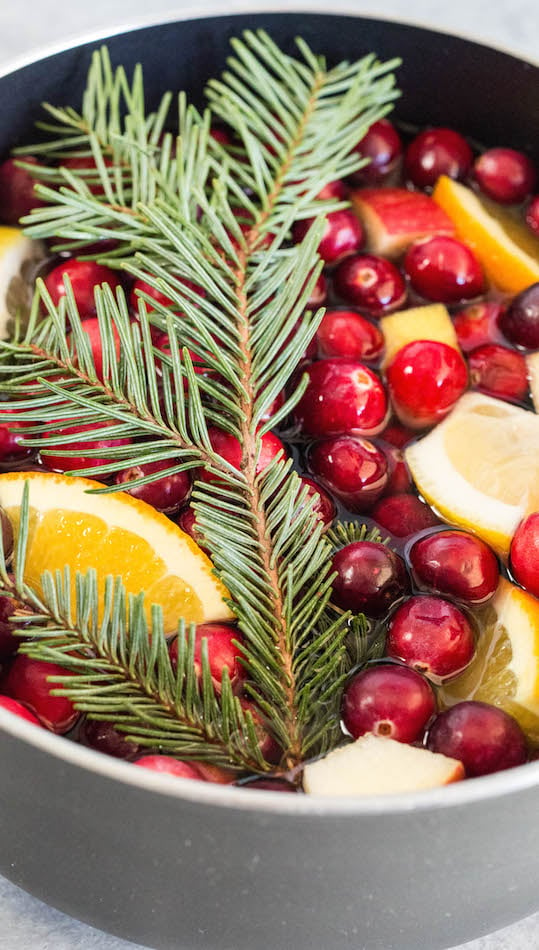 Close up of homemade Christmas potpourri with a Christmas tree branch, chopped citrus, and fresh cranberries.