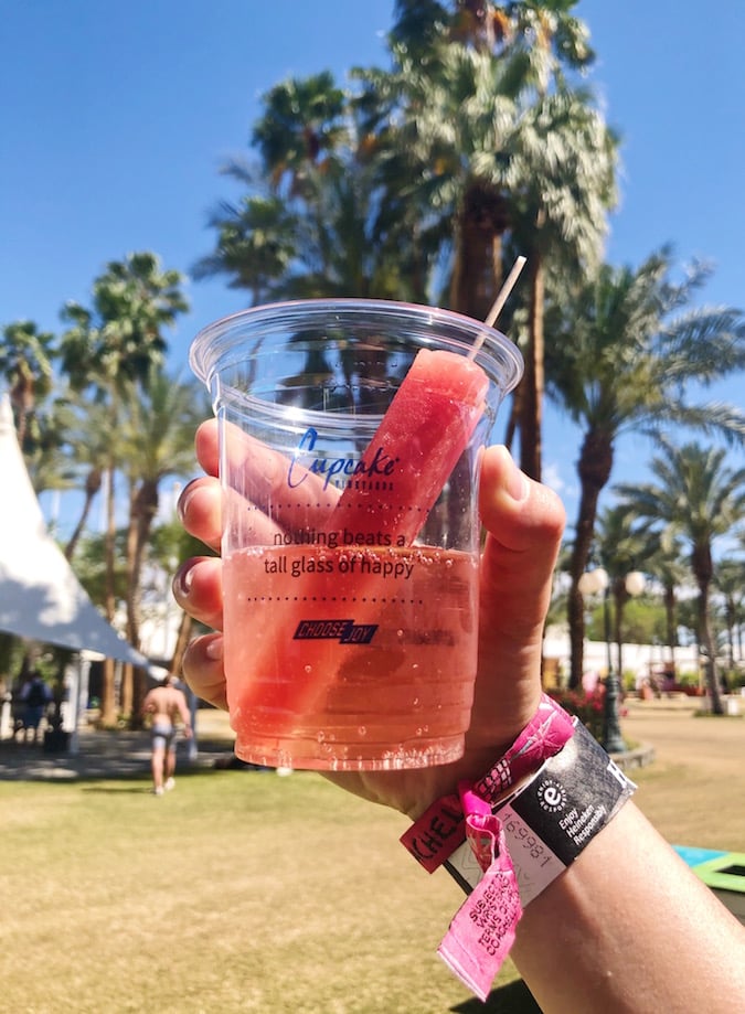 Coachella Food & Drinks - Wine Popsicles in Sparkling Rosé