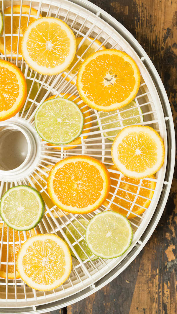 Fresh citrus slices in a dehydrator tray.
