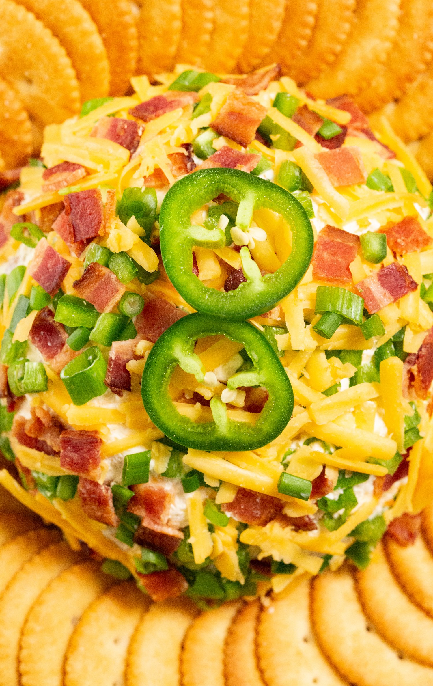 Overhead shot of a jalapeno popper cheeseball covered in shredded cheddar, diced jalapeños, and chopped bacon
