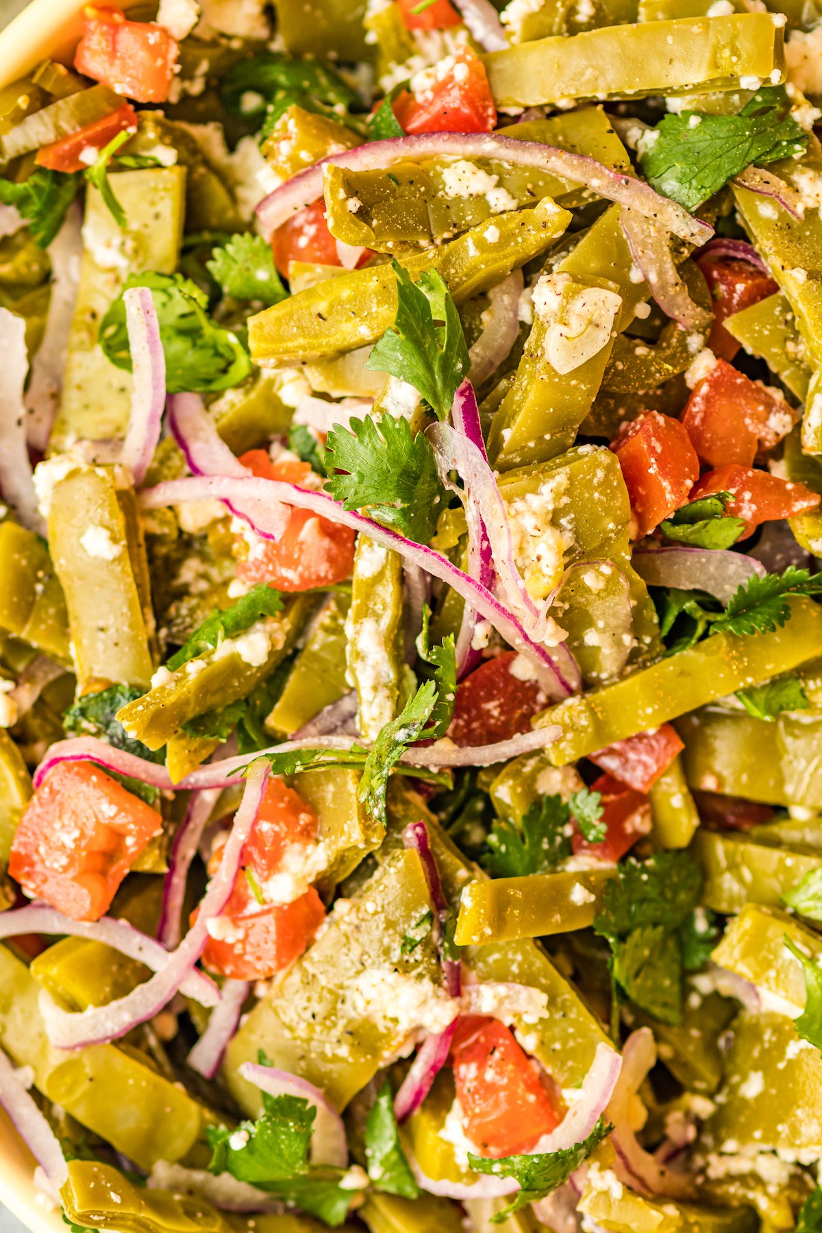 Close up of Mexican cactus salad