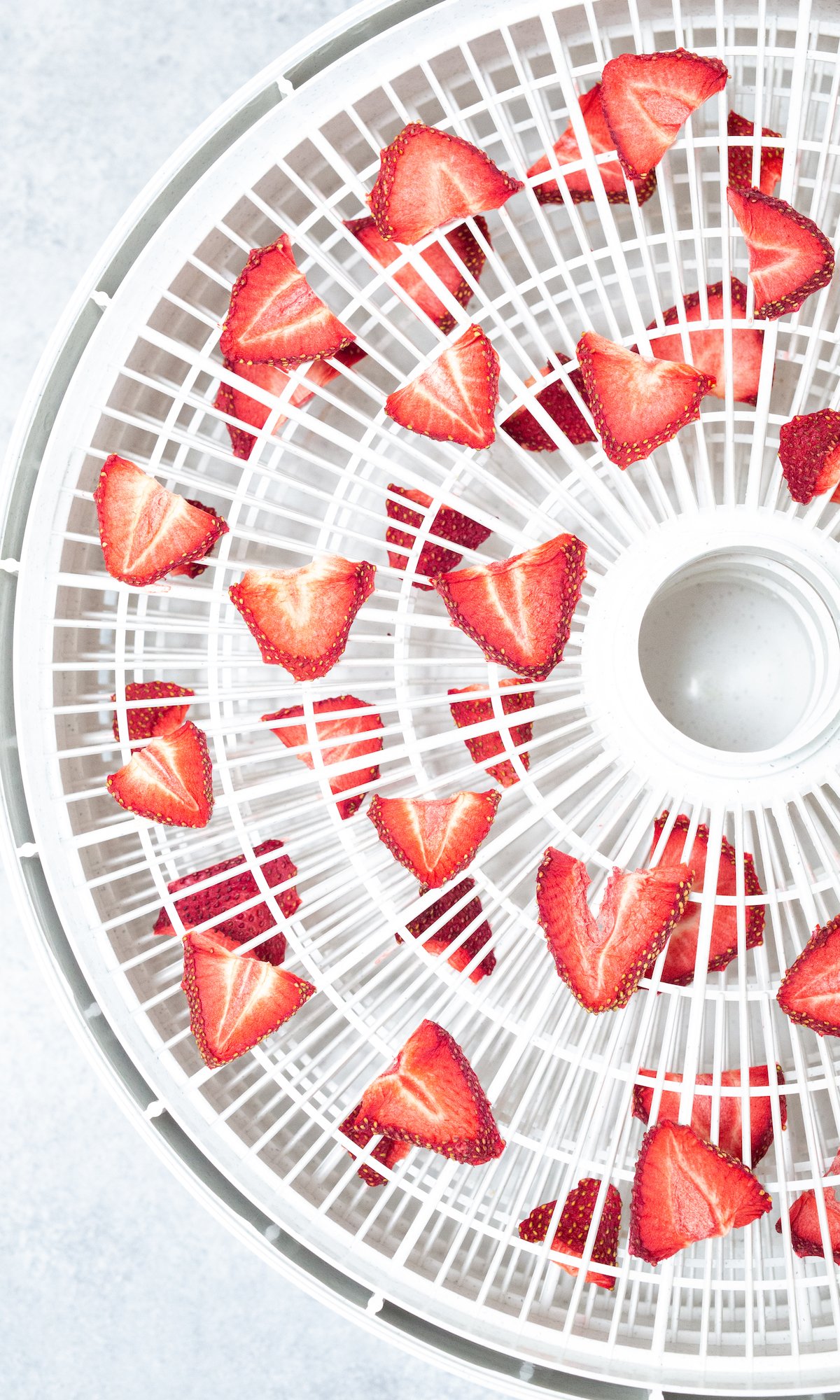 Overhead view of a dehydrator tray filled with sliced and dehydrated strawberries 