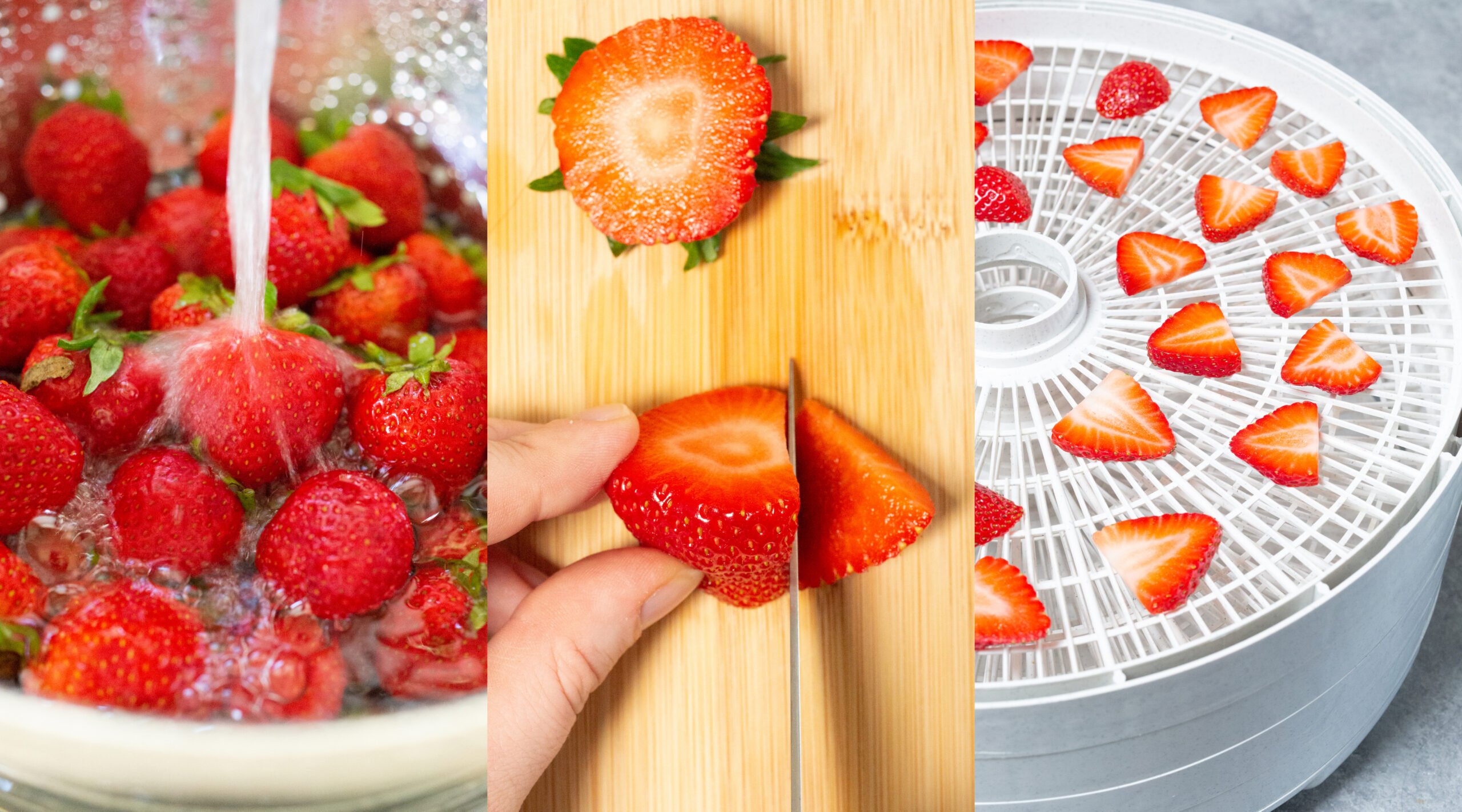 tray with strawberry slices into a food dehydrator machine Stock