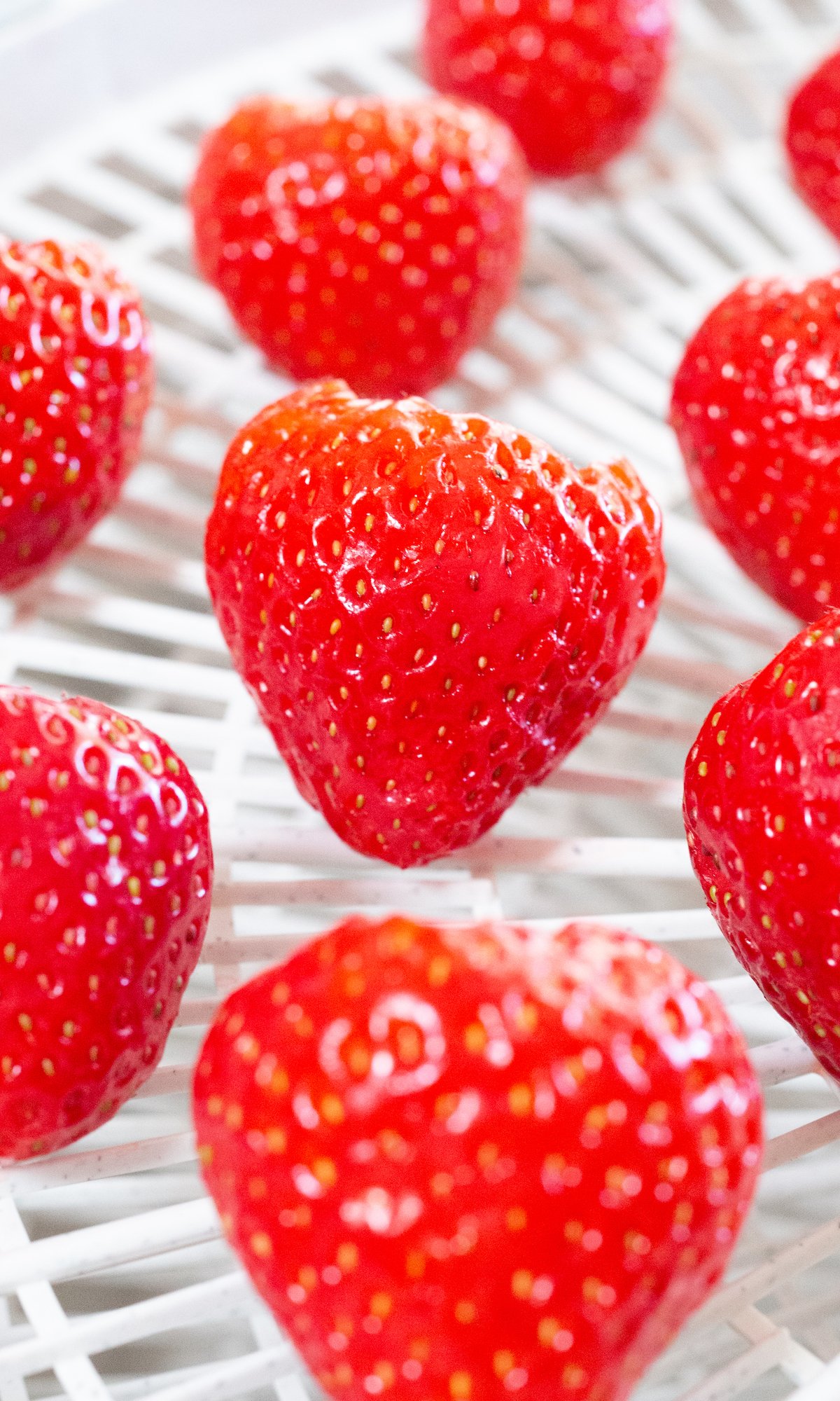 A dehydrated tray is filled with bright red whole strawberries