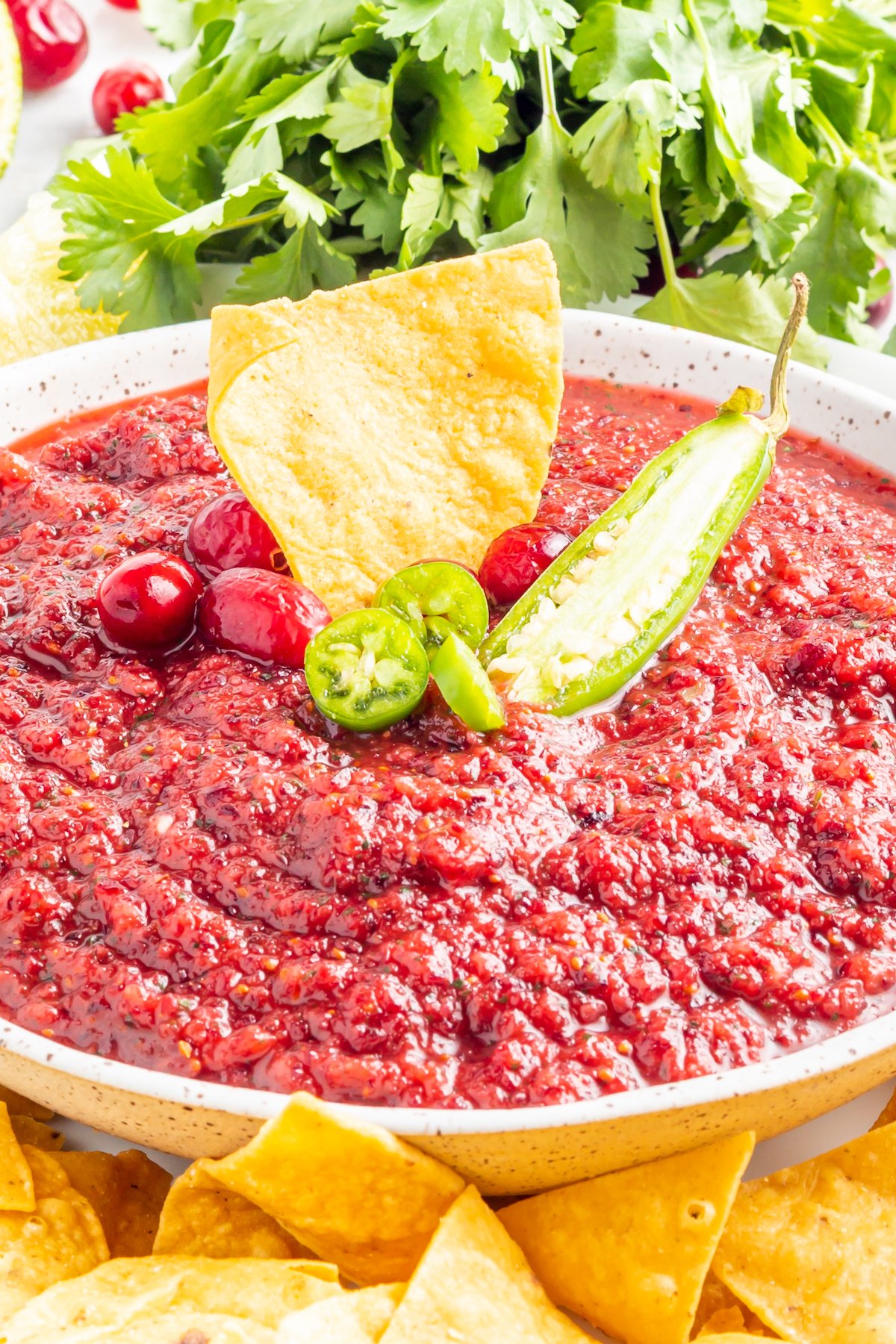 Cranberry salsa sits in a large white bowl. It is garnished with fresh cranberries, a serrano pepper sliced in half, and a tortilla chip.