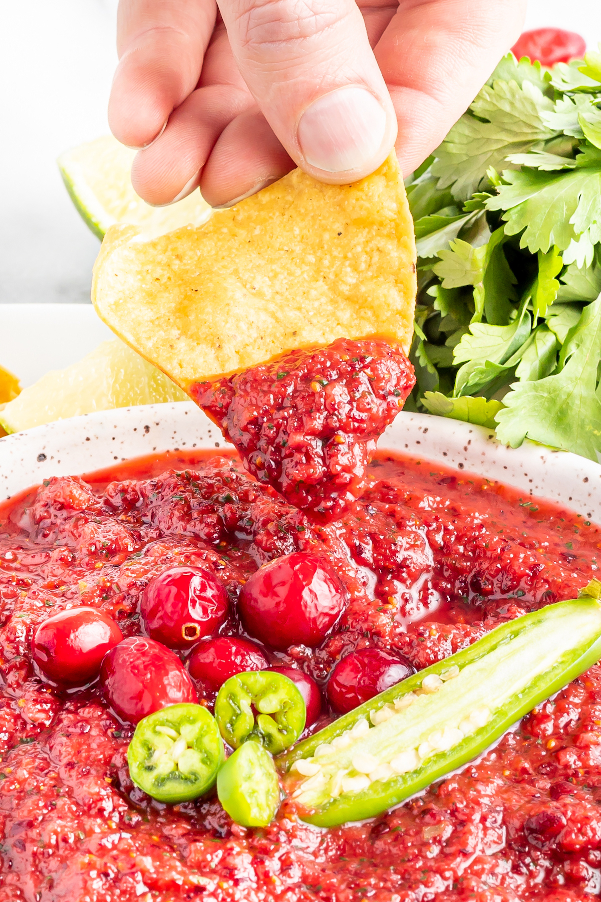 Close up of a hand holding up a tortilla chip that's been dunked in the cranberry salsa.