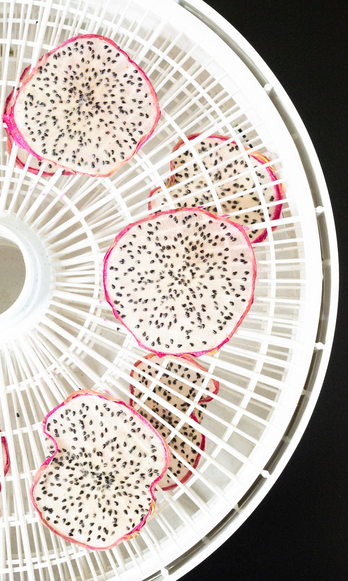 Slices of dragon fruit on dehydrator trays after they have been dehydrated.