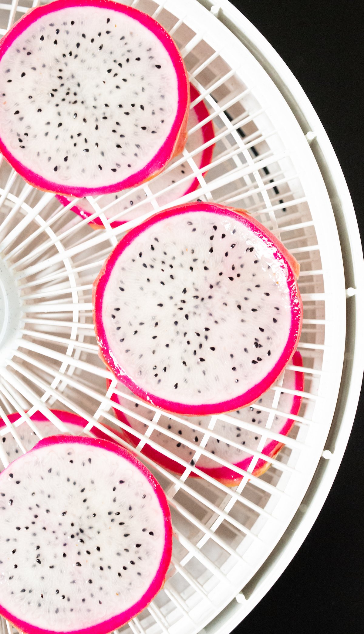 Dragonfruit slices with pink peel and white flesh laid out on dehydrator trays.