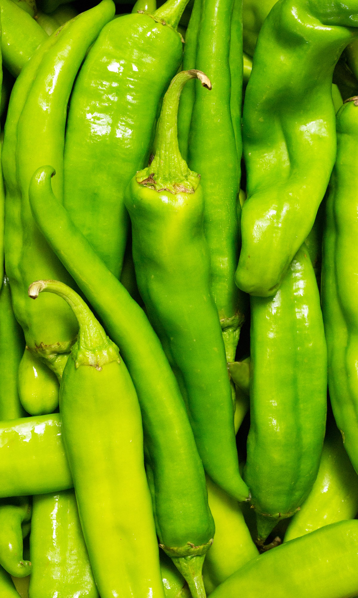 Close up of a box filled with 10lbs of bright green hatch chiles.