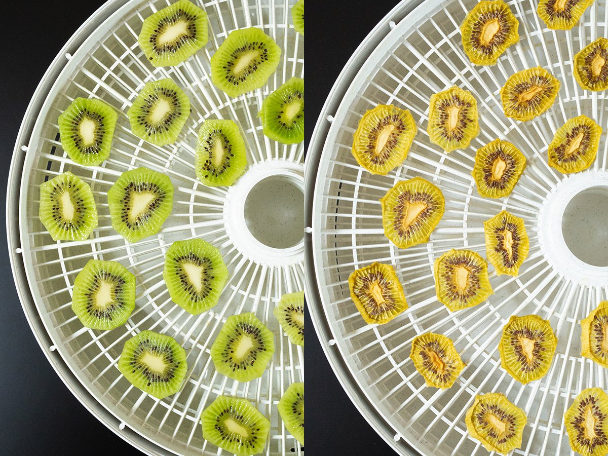 A two photo collage showing sliced kiwis on a dehydrator tray before and after dehydrating.