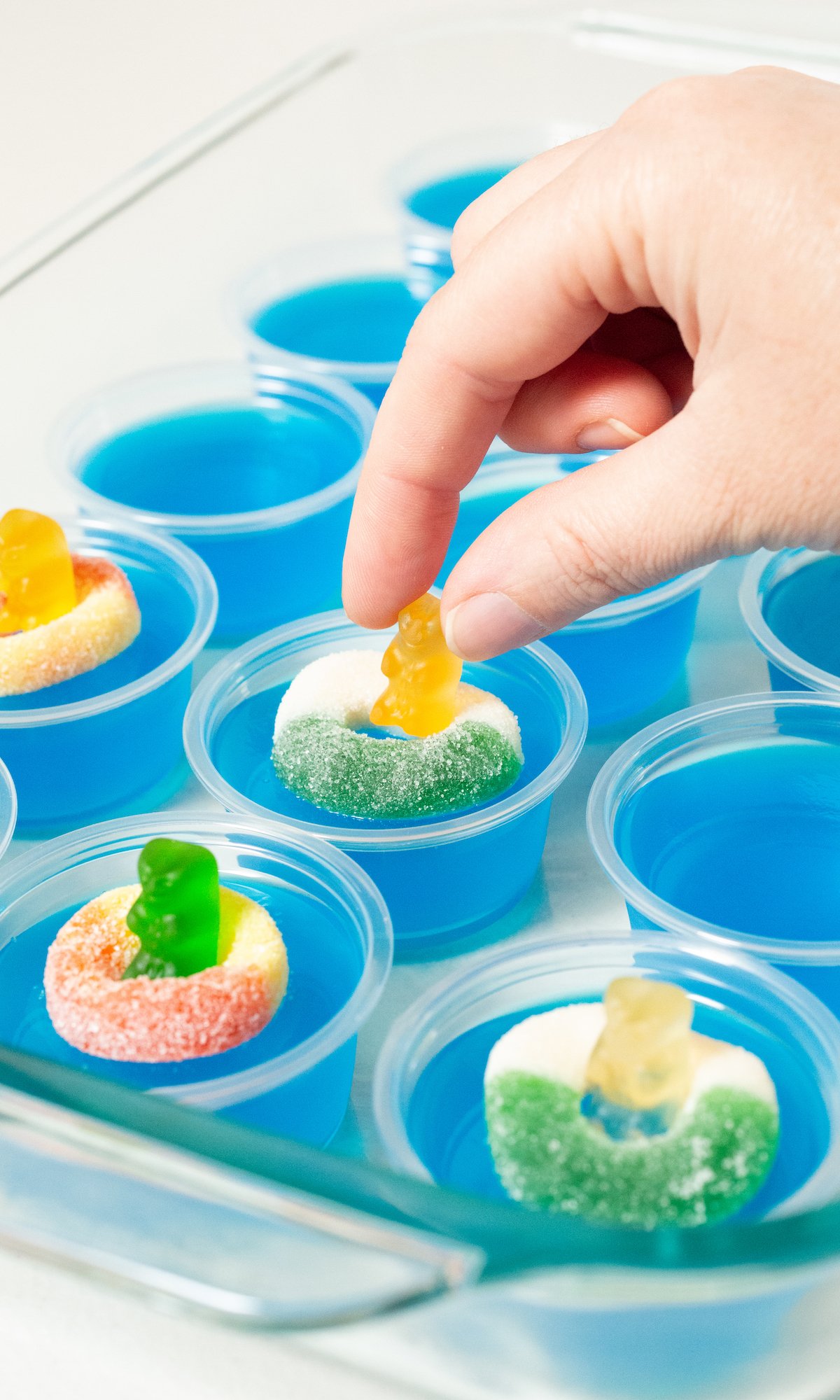 A glass baking dish has rows of blue jello shots that are being topped with candy gummy rings and gummy bears.